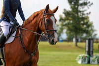 2025 - Shea - Fall Finale - Sunday September 14th - 11561