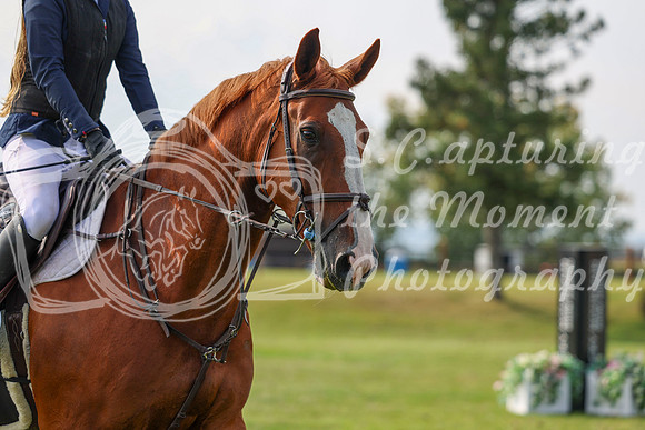 2025 - Shea - Fall Finale - Sunday September 14th - 11561