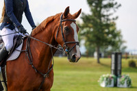 2025 - Shea - Fall Finale - Sunday September 14th - 11562