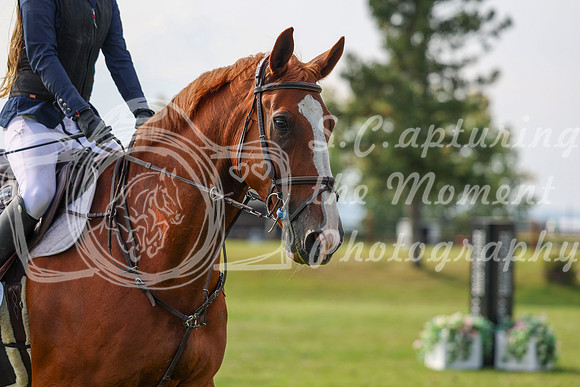 2025 - Shea - Fall Finale - Sunday September 14th - 11562