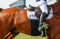 2025 - Shea - Fall Finale - Sunday September 14th - 11564