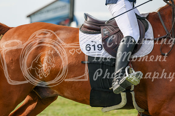 2025 - Shea - Fall Finale - Sunday September 14th - 11564