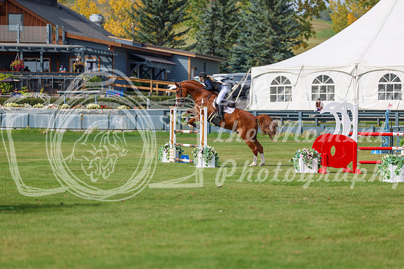 2025 - Shea - Fall Finale - Sunday September 14th - 11566