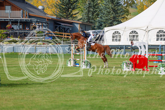 2025 - Shea - Fall Finale - Sunday September 14th - 11567