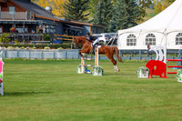 2025 - Shea - Fall Finale - Sunday September 14th - 11569