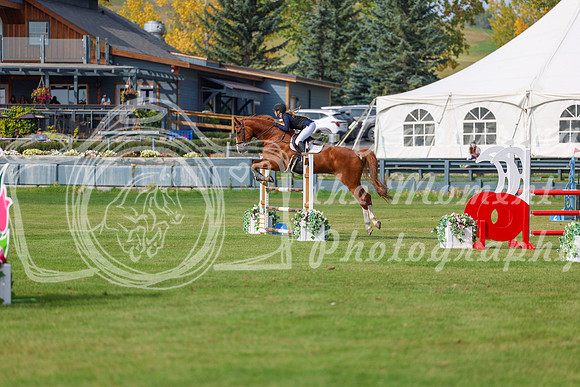 2025 - Shea - Fall Finale - Sunday September 14th - 11569