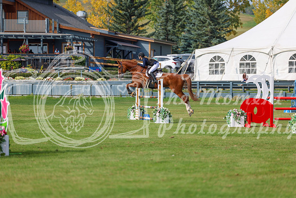 2025 - Shea - Fall Finale - Sunday September 14th - 11570