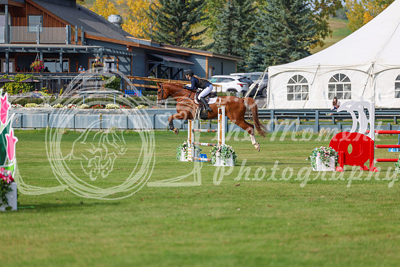2025 - Shea - Fall Finale - Sunday September 14th - 11571