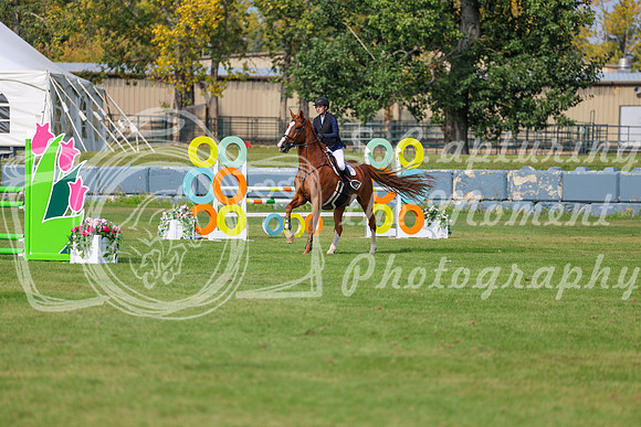 2025 - Shea - Fall Finale - Sunday September 14th - 11572