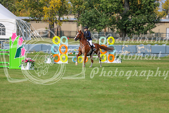 2025 - Shea - Fall Finale - Sunday September 14th - 11573