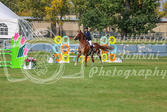 2025 - Shea - Fall Finale - Sunday September 14th - 11574