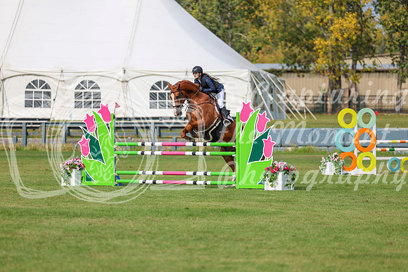 2025 - Shea - Fall Finale - Sunday September 14th - 11575