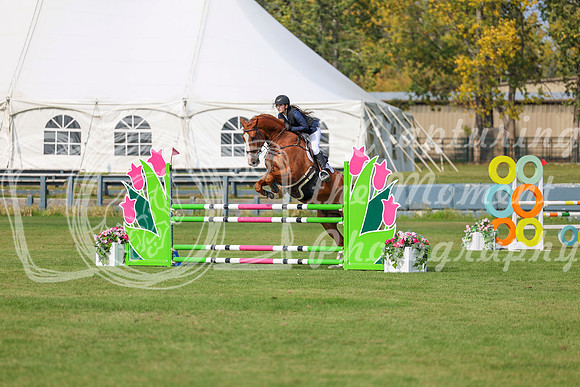 2025 - Shea - Fall Finale - Sunday September 14th - 11576