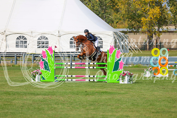 2025 - Shea - Fall Finale - Sunday September 14th - 11577