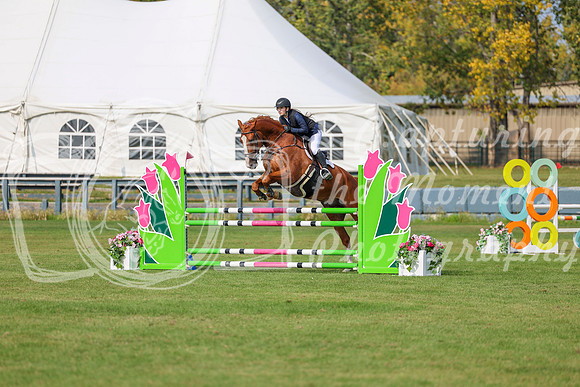 2025 - Shea - Fall Finale - Sunday September 14th - 11578