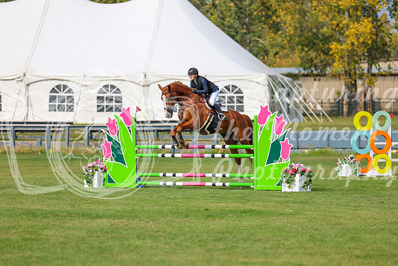 2025 - Shea - Fall Finale - Sunday September 14th - 11580