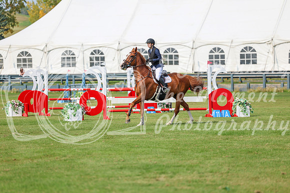 2025 - Shea - Fall Finale - Sunday September 14th - 11583