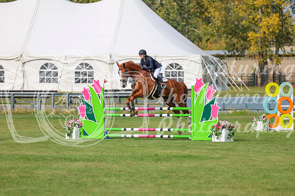 2025 - Shea - Fall Finale - Sunday September 14th - 11581