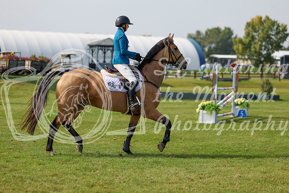 2025 - Shea - Fall Finale - Sunday September 14th - 10546