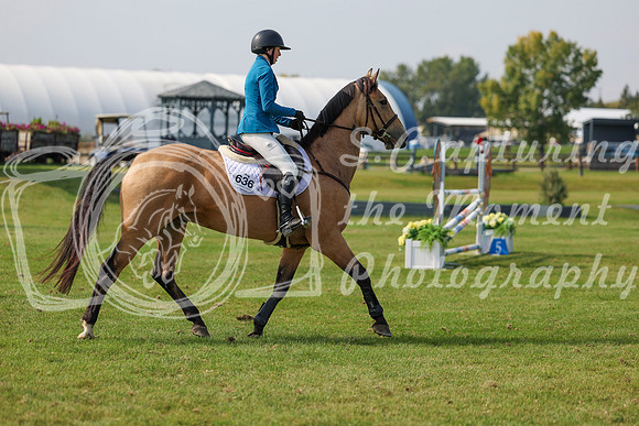 2025 - Shea - Fall Finale - Sunday September 14th - 10548