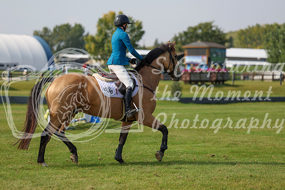 2025 - Shea - Fall Finale - Sunday September 14th - 10549