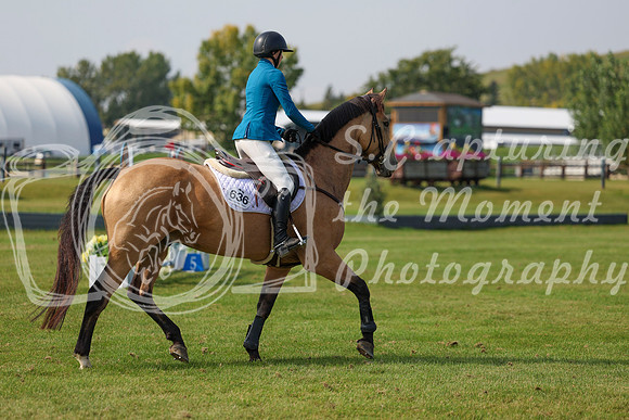 2025 - Shea - Fall Finale - Sunday September 14th - 10550