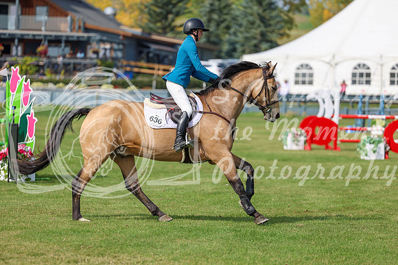 2025 - Shea - Fall Finale - Sunday September 14th - 10551