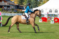 2025 - Shea - Fall Finale - Sunday September 14th - 10552