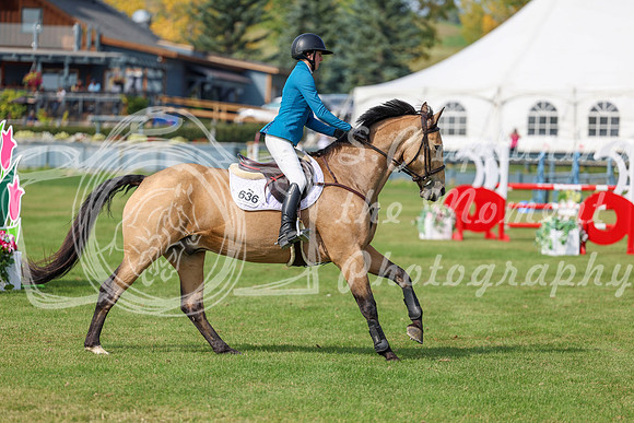 2025 - Shea - Fall Finale - Sunday September 14th - 10552