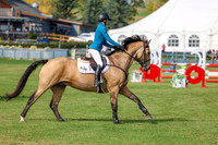 2025 - Shea - Fall Finale - Sunday September 14th - 10553