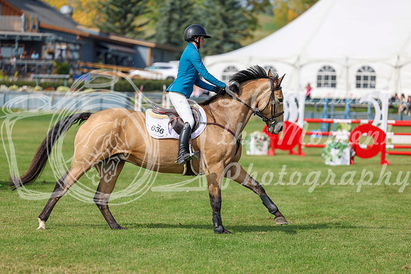 2025 - Shea - Fall Finale - Sunday September 14th - 10553
