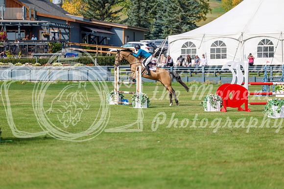 2025 - Shea - Fall Finale - Sunday September 14th - 10555