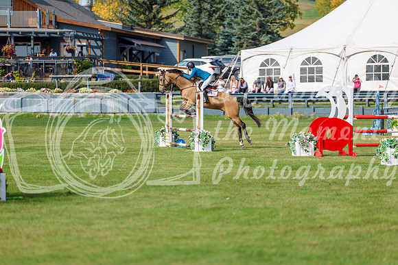 2025 - Shea - Fall Finale - Sunday September 14th - 10556