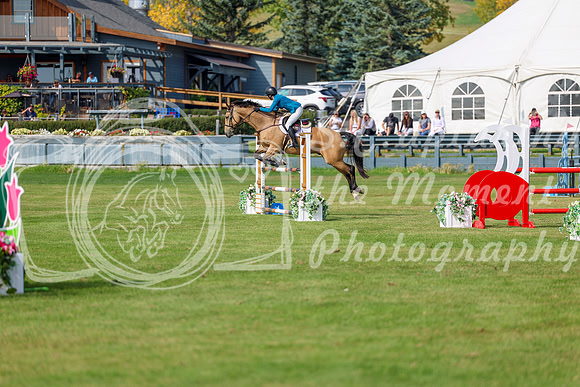 2025 - Shea - Fall Finale - Sunday September 14th - 10558