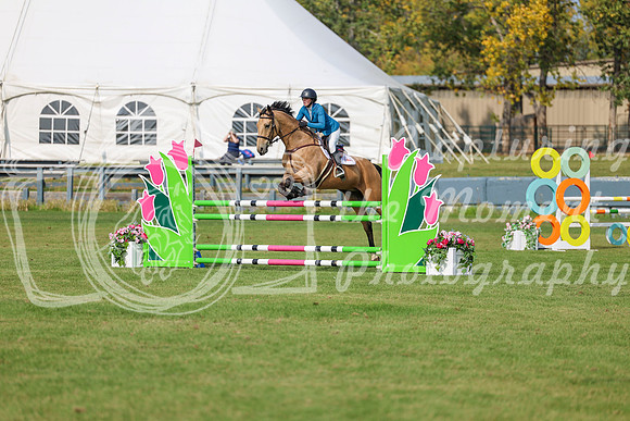2025 - Shea - Fall Finale - Sunday September 14th - 10559