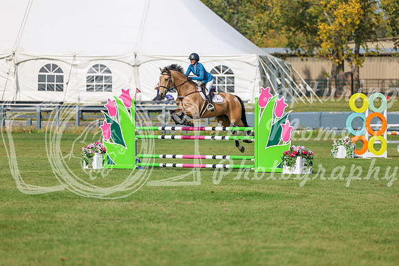 2025 - Shea - Fall Finale - Sunday September 14th - 10561