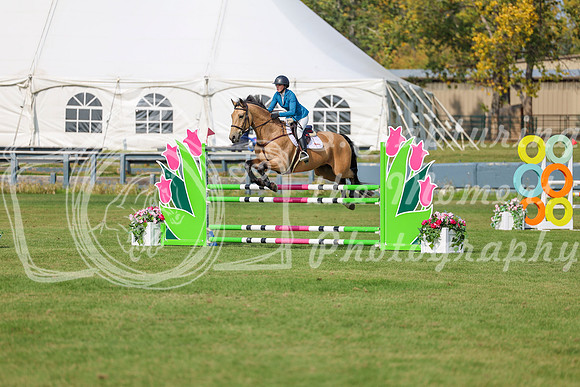 2025 - Shea - Fall Finale - Sunday September 14th - 10562