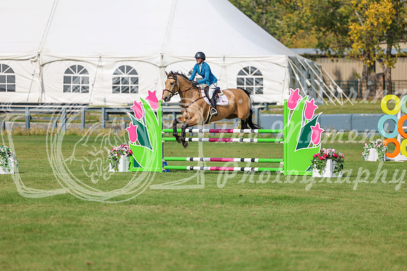2025 - Shea - Fall Finale - Sunday September 14th - 10564