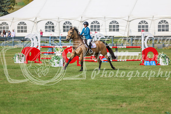 2025 - Shea - Fall Finale - Sunday September 14th - 10567