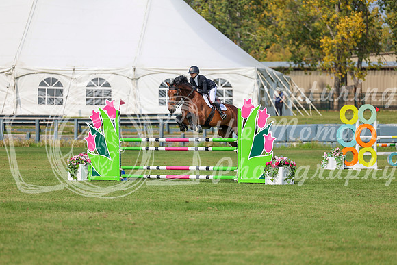 2025 - Shea - Fall Finale - Sunday September 14th - 11011