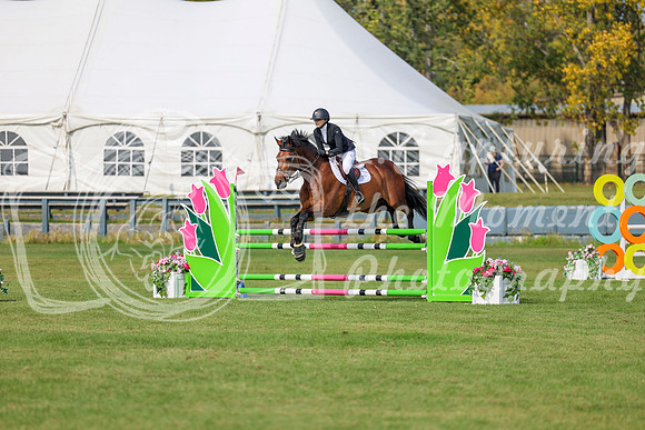 2025 - Shea - Fall Finale - Sunday September 14th - 11015