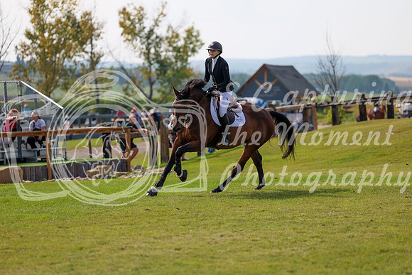 2025 - Shea - Fall Finale - Sunday September 14th - 11028