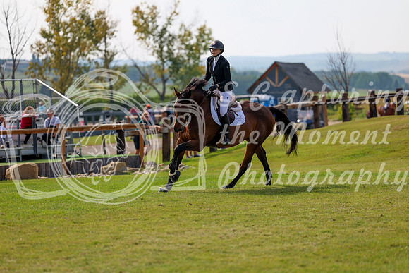 2025 - Shea - Fall Finale - Sunday September 14th - 11029