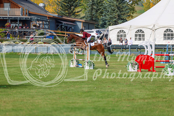 2025 - Shea - Fall Finale - Sunday September 14th - 10141
