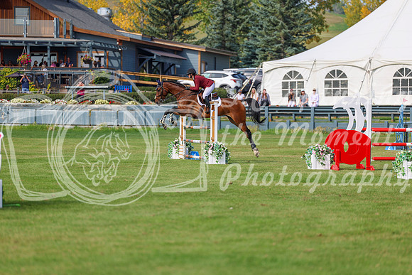 2025 - Shea - Fall Finale - Sunday September 14th - 10142