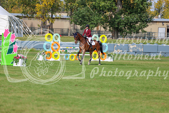 2025 - Shea - Fall Finale - Sunday September 14th - 10143