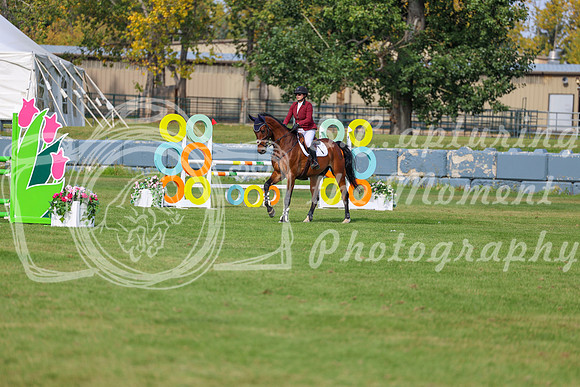 2025 - Shea - Fall Finale - Sunday September 14th - 10144