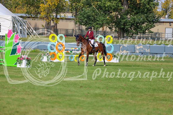 2025 - Shea - Fall Finale - Sunday September 14th - 10145