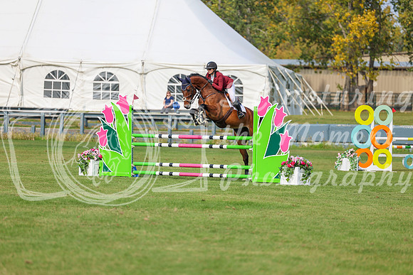 2025 - Shea - Fall Finale - Sunday September 14th - 10147