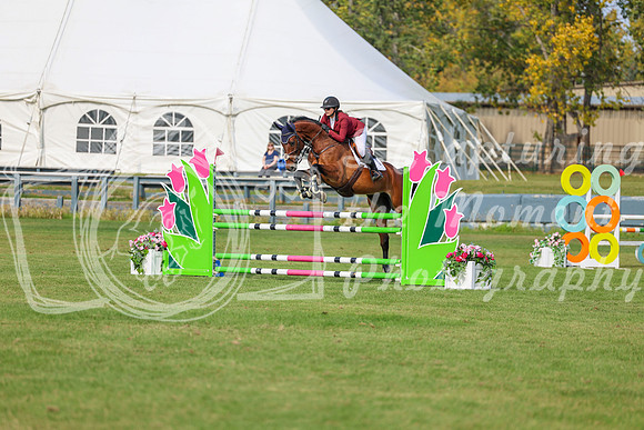 2025 - Shea - Fall Finale - Sunday September 14th - 10148